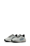 Nike Pegasus 41 Running Shoe In Photon Dust/silver/slate