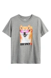 Nike Kids' Shiba Graphic T-shirt In Gray