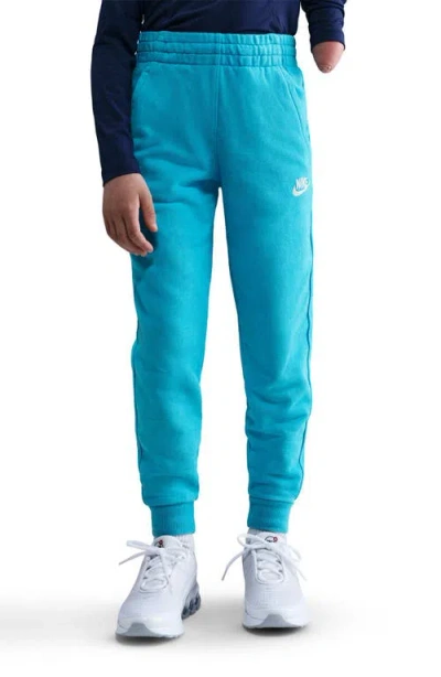 Nike Kids' Sportswear Wash Club Fleece Sweatpants In Blue
