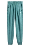 Nike Kids' Sportswear Wash Club Fleece Sweatpants In Green