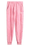 Nike Kids' Sportswear Wash Club Fleece Sweatpants In Pink
