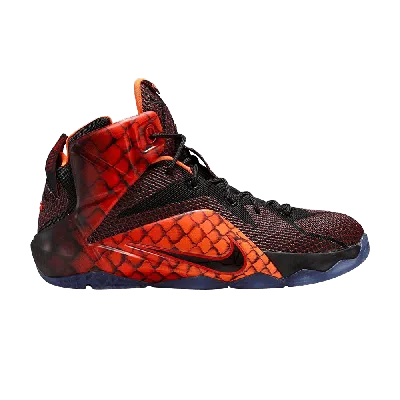 Pre-owned Nike Lebron 12 Gs In Multi-color