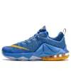 Nike Lebron 12 Low Sneakers