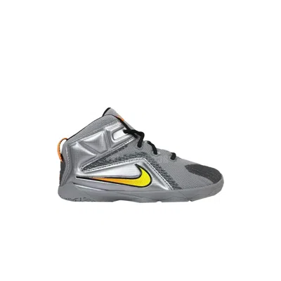 Pre-owned Nike Lebron 12 Td 'flight' | Grey | Infant Size 5 In Gray