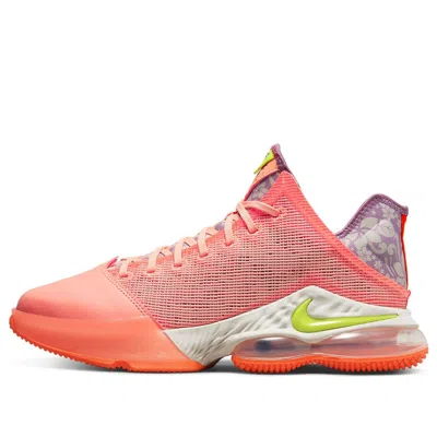 Nike Lebron 19 Low 'hawaii' In Multi