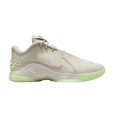 Pre-owned Nike Lebron 22 'dunkman' | Grey | Men's Size 11.5