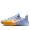 Nike Lebron Tr 1 'aluminium University Gold' In Blue