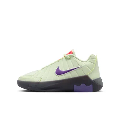 Nike Lebron Witness 9 Big Kids' Basketball Shoes In Multi