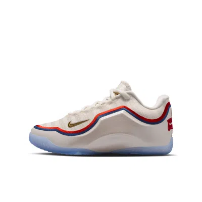 Nike Babies' Lebron Xxiii "old Glory" Big Kids' Basketball Shoes In Multi