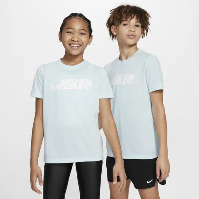 Nike Legend Big Kids' Dri-fit T-shirt In Blue
