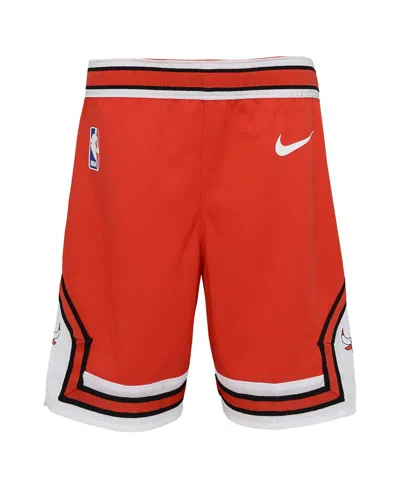 Nike Kids' Chicago Bulls Icon Replica Shorts, Little Boys (4-7) In Red
