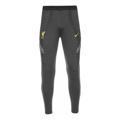 Nike Liverpool Champions League Dri-fit Adv Elite Track Pants 'grey' In Green