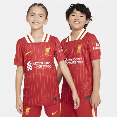 Nike Liverpool Fc 2024/25 Stadium Home Big Kids'  Dri-fit Soccer Replica Jersey In Red