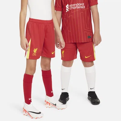 Nike Liverpool Fc 2024/25 Stadium Home Big Kids'  Dri-fit Soccer Replica Shorts In Red