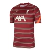Nike Liverpool F.c. Pre-match Short-sleeve Football Top 'team Red Bright Crimson Fossil'