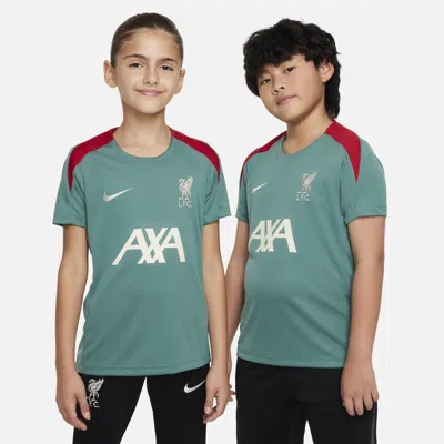 Nike Liverpool Fc Strike Big Kids'  Dri-fit Soccer Short-sleeve Knit Top In Green