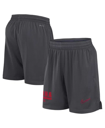 Nike Anthracite Arizona Wildcats 2024 Sideline Performance Mesh Shorts