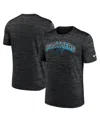Nike Men's Black Carolina Panthers Velocity Performance T-shirt