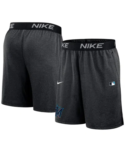 Nike Men's Black Miami Marlins Authentic Collection Performance Knit Shorts In Gray