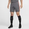 Nike Men's Dri-fit Academy Dri-fit Soccer Shorts In Grey
