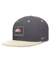 Nike Men's Graphite/natural Washington Nationals City Connect True Fitted Hat In Graphite,natural