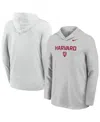 Nike Men's Gray Harvard Crimson Sideline Dri-fit Lightweight Hooded Sweatshirt In Gray