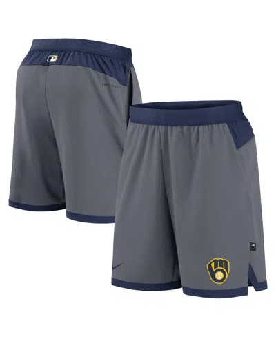 Nike Men's Gray Milwaukee Brewers Authentic Collection Flex Vent Performance Shorts In Gray,navy