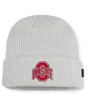 Nike Men's Gray Ohio State Buckeyes 2025 On-field Utility Cuffed Knit Hat