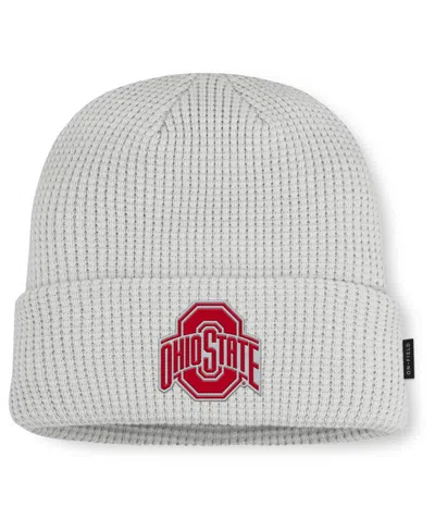 Nike Men's Gray Ohio State Buckeyes 2025 On-field Utility Cuffed Knit Hat