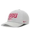 Nike Gray Ohio State Buckeyes 2025 Sideline Dust Pinched Rise Adjustable Hat In Gray