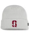 Nike Stanford Utility Off-field  Men's College Cuffed Beanie In Gray