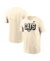 Nike Natural Arizona Wildcats Bold Fashion T-shirt In Brown