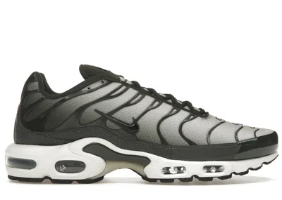 Pre-owned Nike Men's  Air Max Plus Sneakers In Sequoia/cargo Khaki/light Bone In Multi