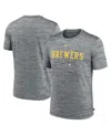 Nike Men's  Heather Gray Milwaukee Brewers Authentic Collection Velocity Performance Practice T-shirt In Heather Gray