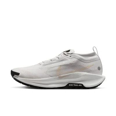 Nike Men's Pegasus Trail 5 Gore-tex Waterproof Trail Running Shoes In Gray