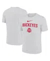 Nike Men's White Ohio State Buckeyes Campus Slant Velocity Performance T-shirt In Gray