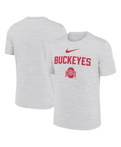 Nike Men's White Ohio State Buckeyes Campus Slant Velocity Performance T-shirt In Gray