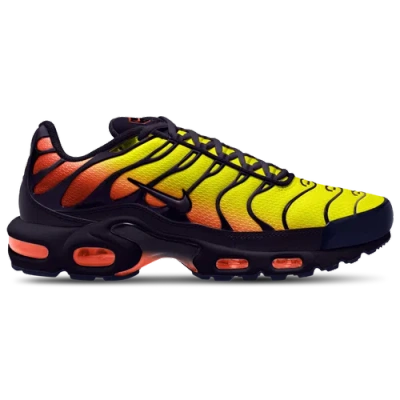 Nike Mens  Air Max Plus In Multi