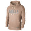 Nike Mens  Bulls Dri-fit Standard Issue Hoodie Cts Ce In Hemp/grey