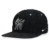 Nike Miami Marlins Pro  Men's Mlb Adjustable Hat