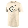Nike Michigan State Spartans Legend Baseball Icon  Men's Dri-fit College T-shirt In Brown