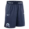 Nike Minnesota Twins Authentic Collection City Connect  Men's Dri-fit Mlb Shorts In Blue
