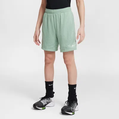 Nike Multi Big Kids' (boys') Dri-fit Mesh Shorts In Green