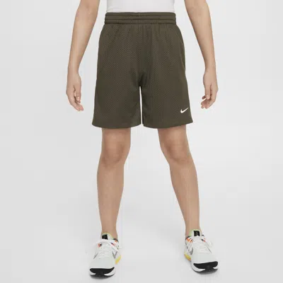 Nike Multi Big Kids' (boys') Dri-fit Mesh Shorts In Green