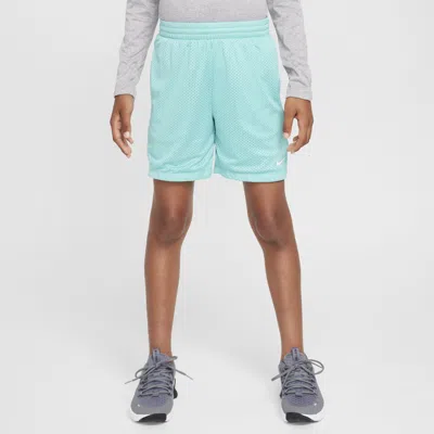 Nike Multi Big Kids' (boys') Dri-fit Mesh Shorts In Green