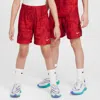 Nike Multi Big Kids' (boys') Dri-fit Shorts