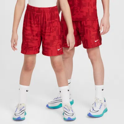 Nike Multi Big Kids' (boys') Dri-fit Shorts