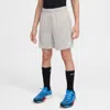 Nike Multi Big Kids' (boys') Dri-fit Shorts In Grey
