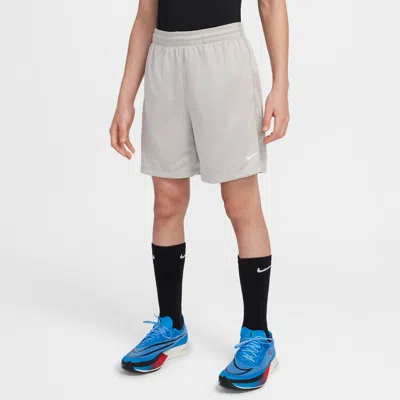 Nike Multi Big Kids' (boys') Dri-fit Shorts In Grey