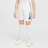 Nike Multi Big Kids' (boys') Dri-fit Shorts In White